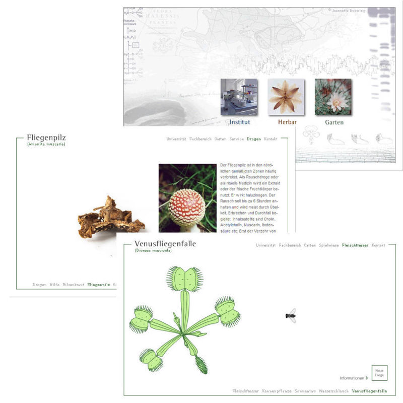 agent-d: Beispiel Website für botanischen Garten